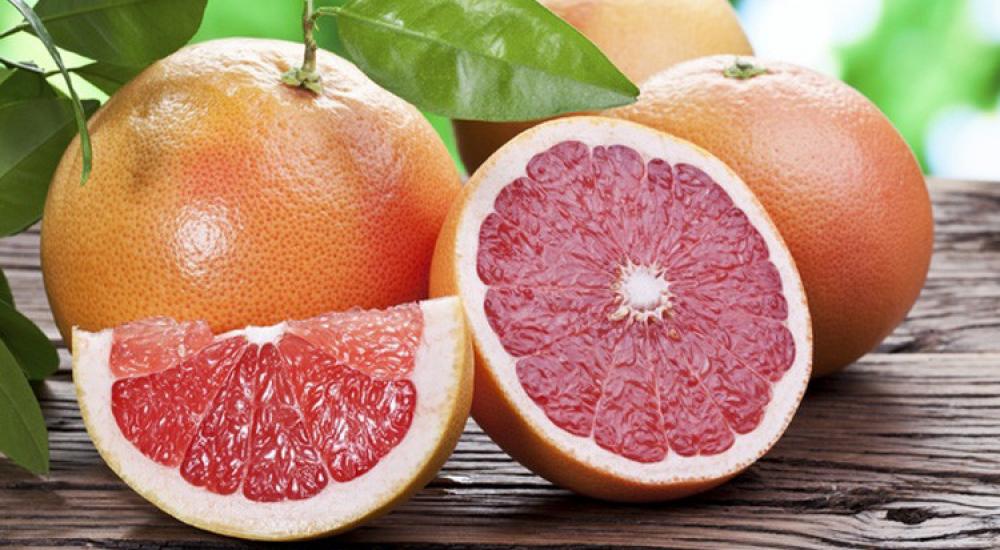 54ff0e50611e9b162b8b4585