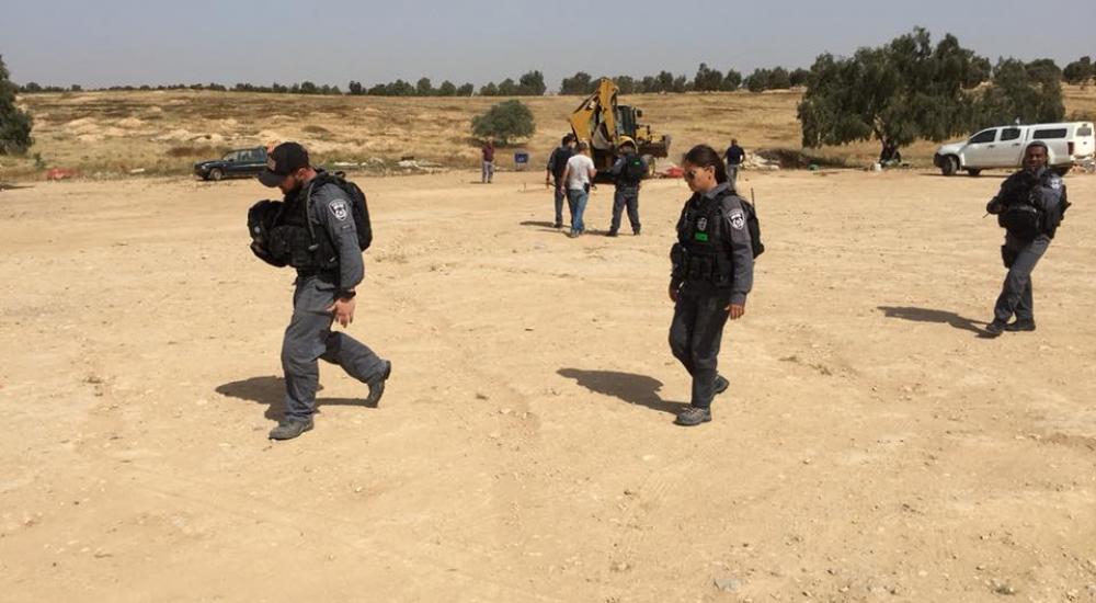 30704444_1038632669635590_7581903986022498911_n