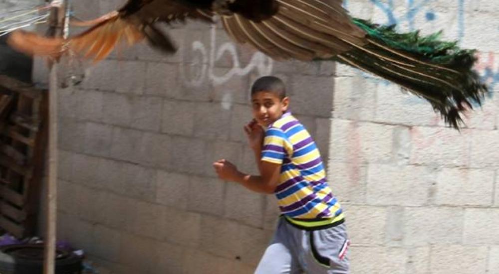 10906242_1056604261048660_8632402033466205883_n