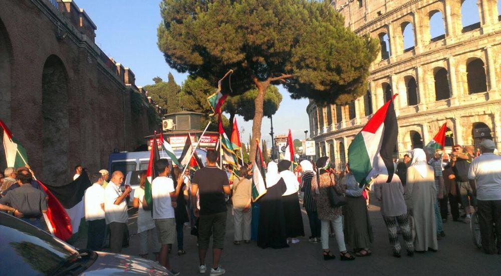 11840436_1100512849977569_1965076467_o