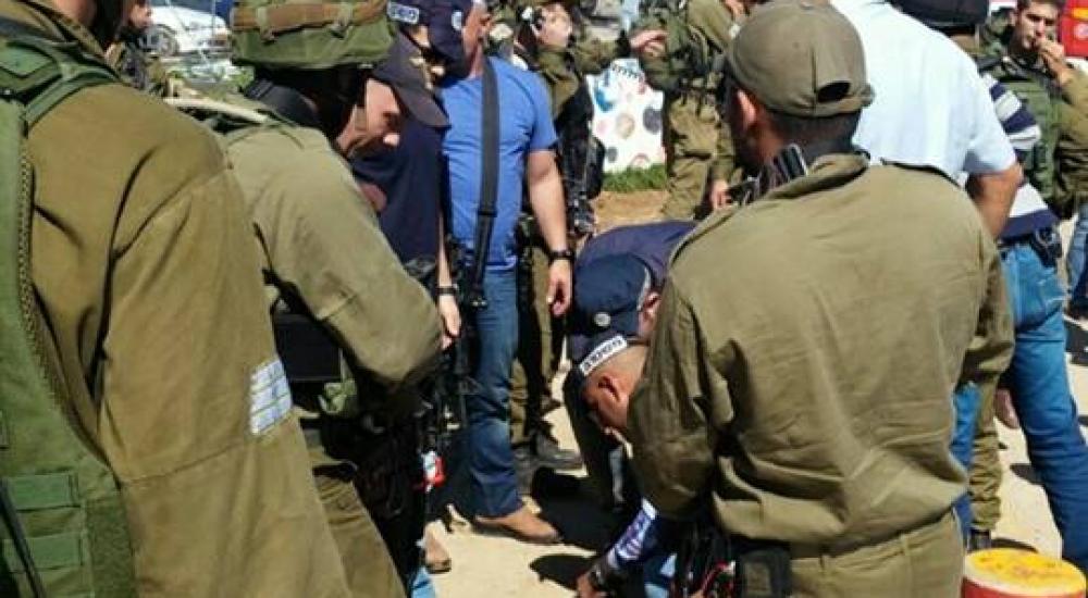 12596358_1512831765692149_495260965_n