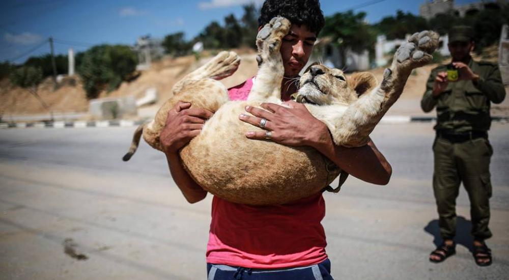 11692508_10153033174582984_7696189460575081549_n