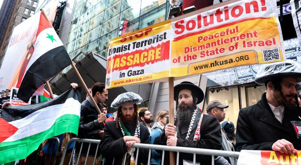 56203744_3360343074008089_7923658866582093824_n