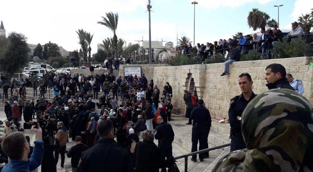 WhatsApp Image 2017-12-07 at 12.52.11 PM (1)