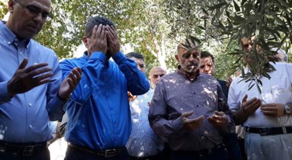 14463101_638390022988907_5487264913006974954_n