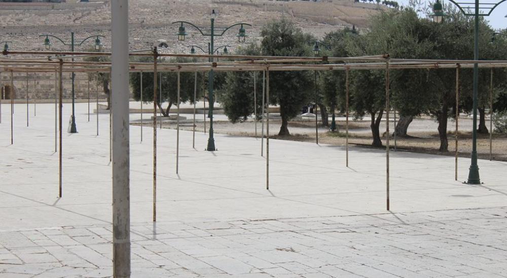 13266049_972583216189110_5735951134816096454_n