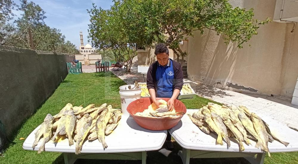 WhatsApp Image 2020-05-13 at 4.29.08 PM (1)