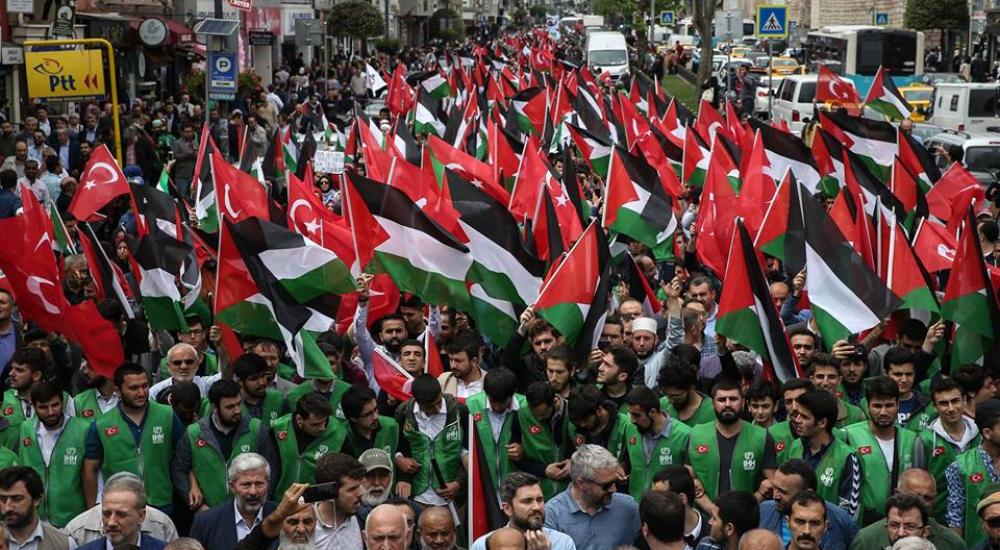 32214949_1764548313666299_3342653045090549760_n