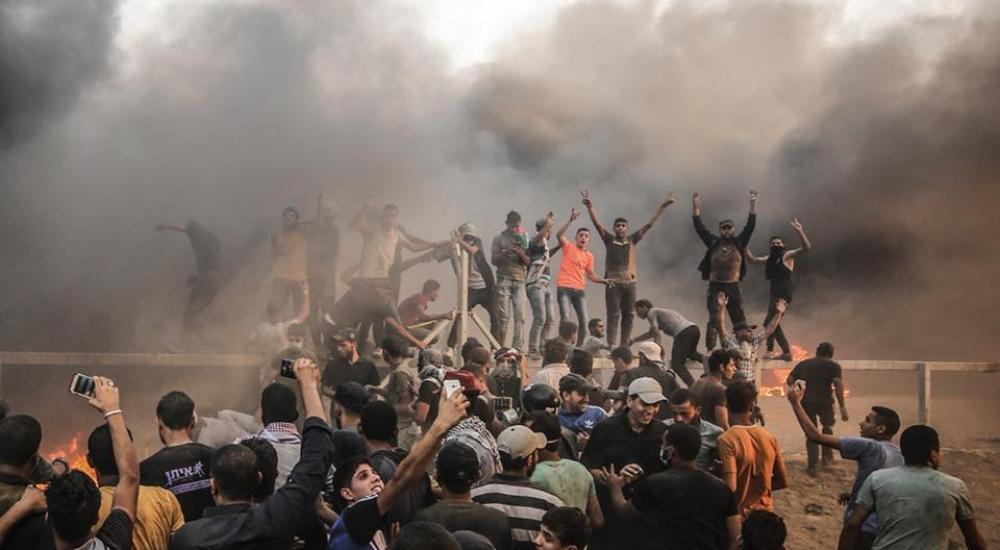 42665026_10214427103406143_1218653874538151936_n