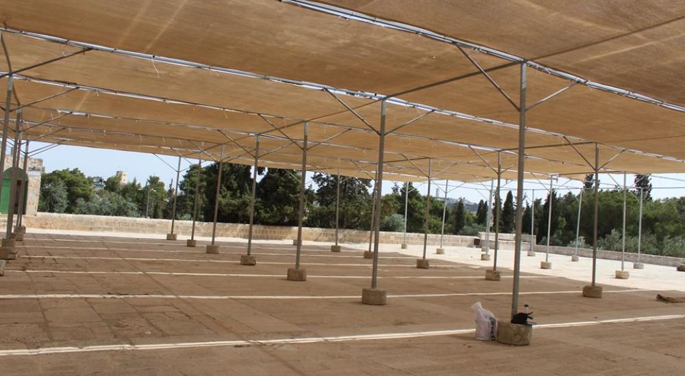 13237632_972582072855891_1743109223605306534_n