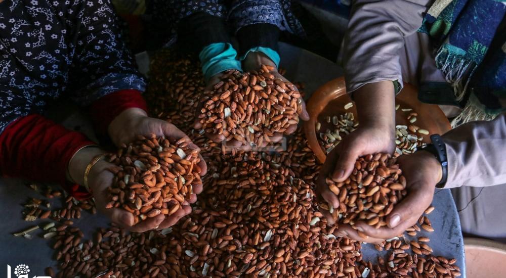 181b1b26-654a-4465-b60a-fbd9396da620