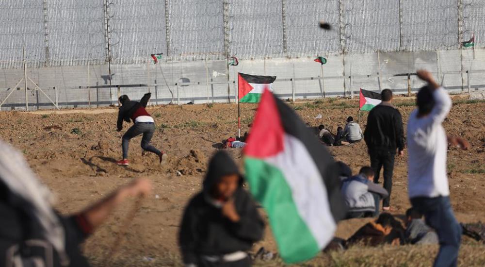 56935304_2398398296861261_2836726410385555456_n