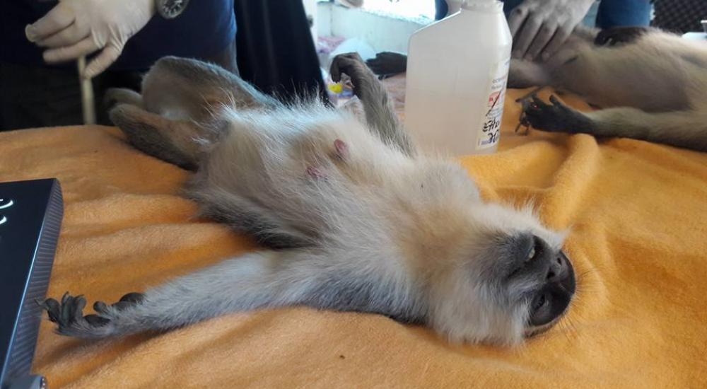 14102384_1154685244590506_3776271792473095040_n