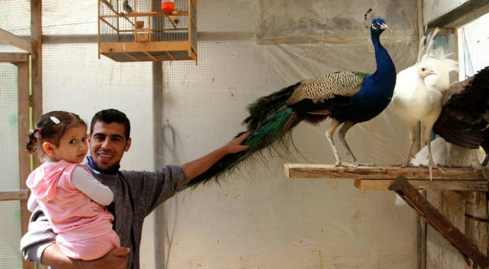 11168764_1056604764381943_1557392673978857266_n