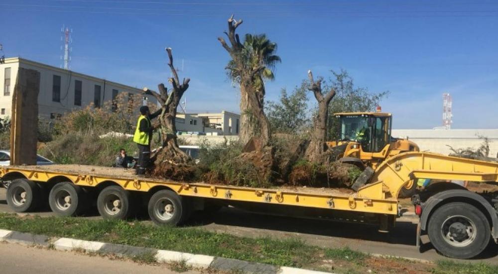 هدم منزل الرملة