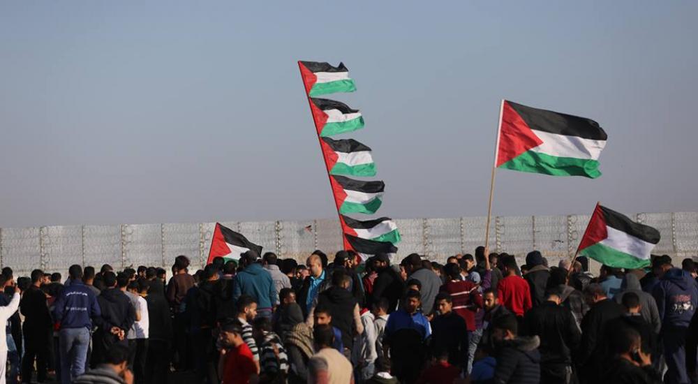 57083484_1540731306066854_1186669364753989632_n