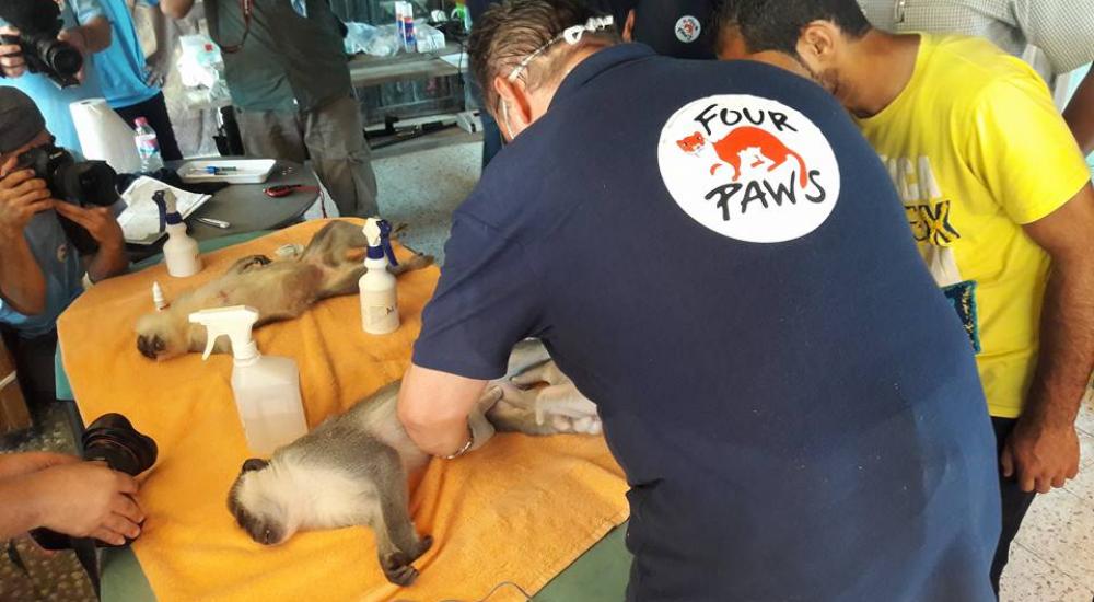 14079875_1154685611257136_2546083163889682657_n