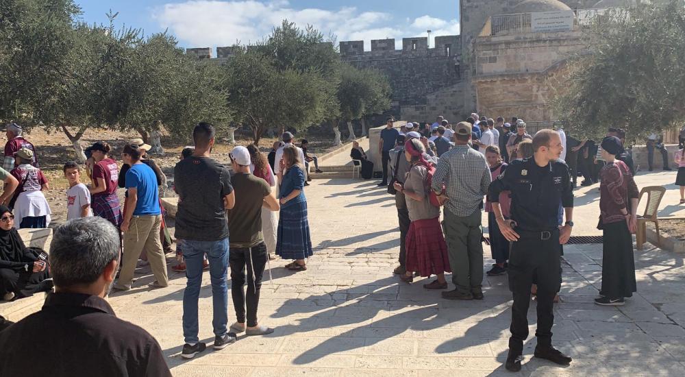 30b2dcf9-0c0b-4a6c-bd16-0c9044bfdf4f