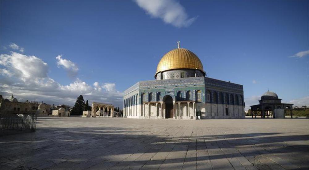 thumbs_b_c_7f92ff066986b9c8d50d1d117f279e76