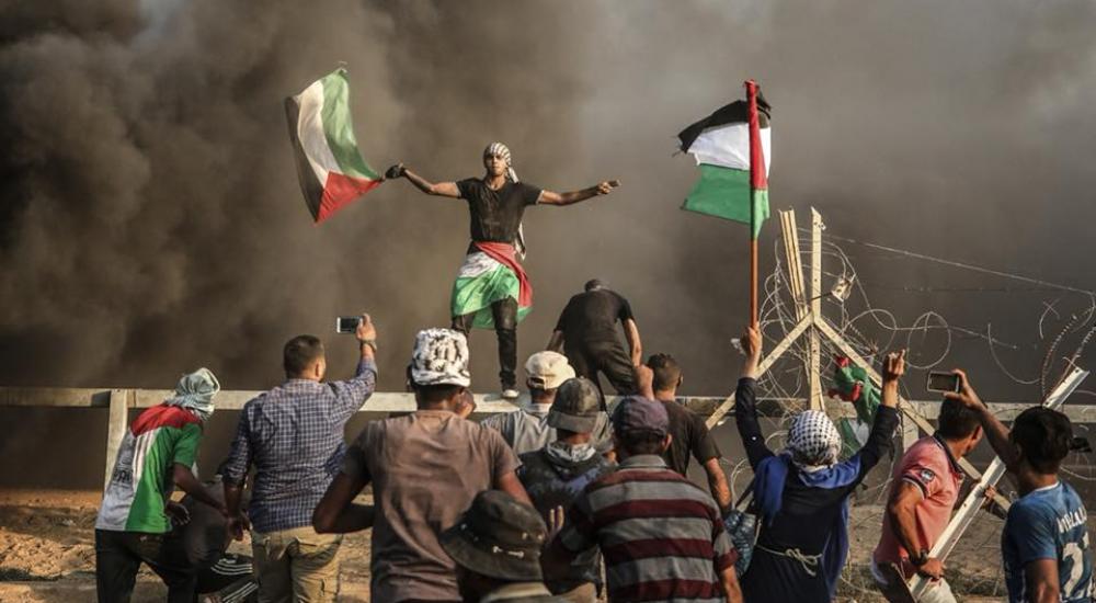 42664111_10214427105526196_7849671616752517120_n