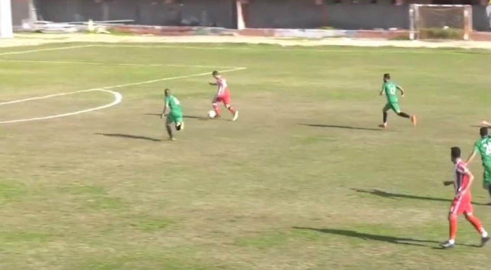 الزيتون والحوانين