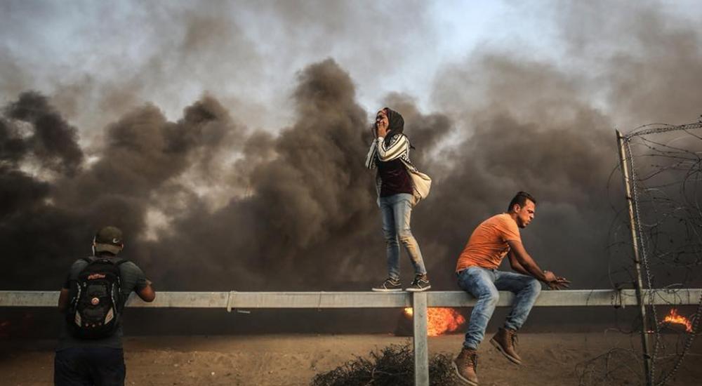 42681389_10214427104406168_8175878725095653376_n