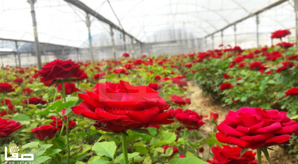 WhatsApp Image 2020-04-16 at 4.19.09 PM