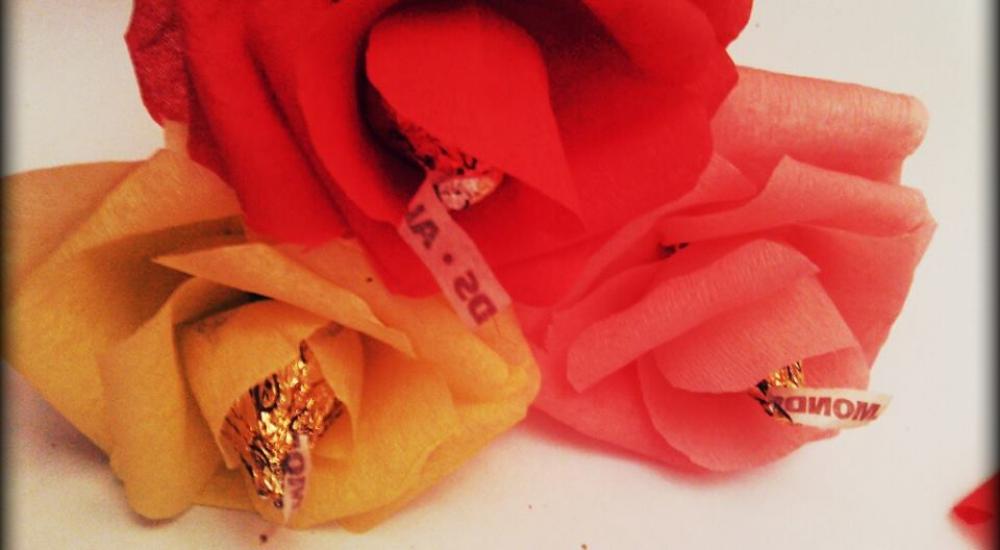 13288887_251584545203025_1113364557_n