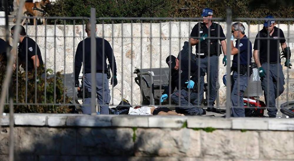 11227907_955606074475468_8069472380830392125_n