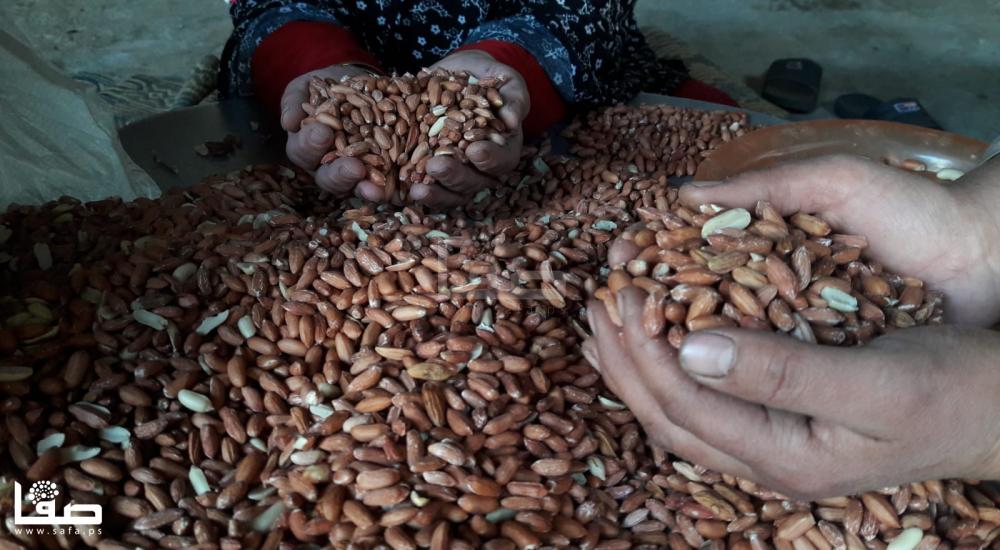 52d1c0af-b200-4234-bd89-c54910eeec5d