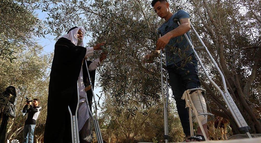 WhatsApp Image 2019-10-22 at 3.45.01 PM