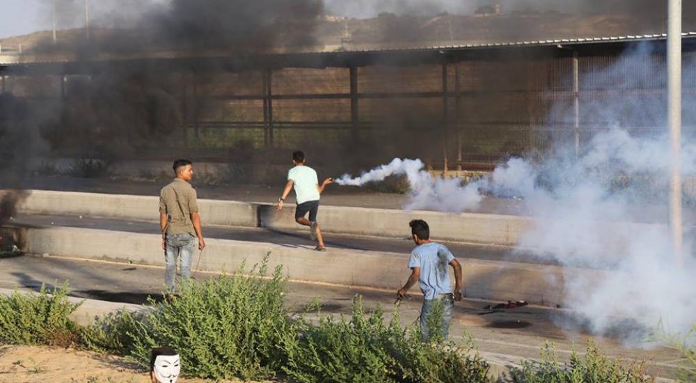 42625056_10215597350000442_2144833782027386880_n