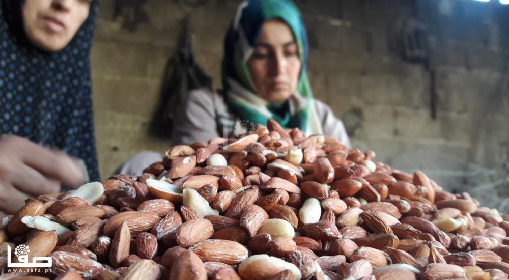 acf4bee1-d7dc-4959-8d22-dcc932a9ce03