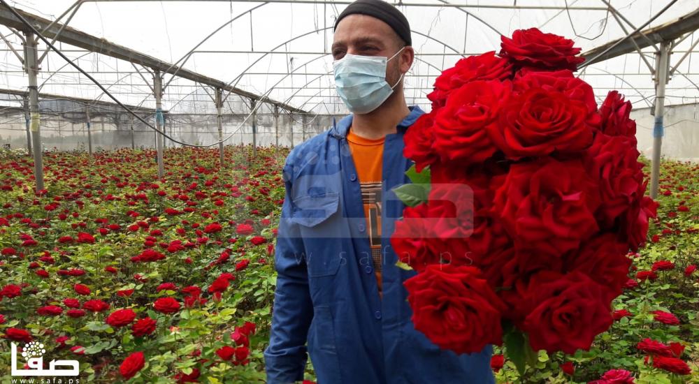 WhatsApp Image 2020-04-16 at 4.17.46 PM