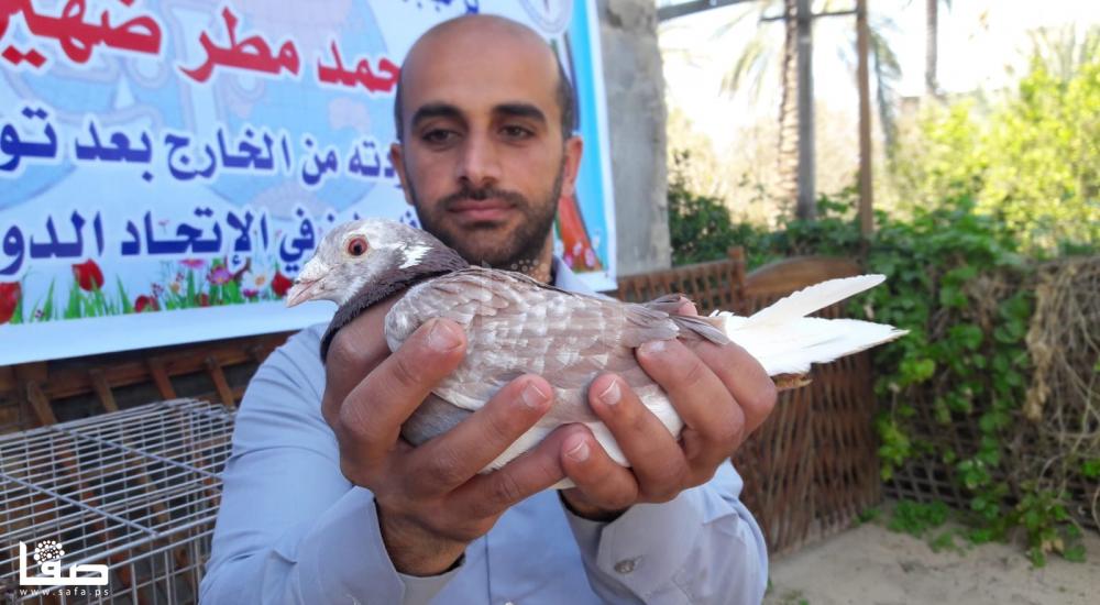 5091194c-9856-42b4-b2fd-96d162b28c03