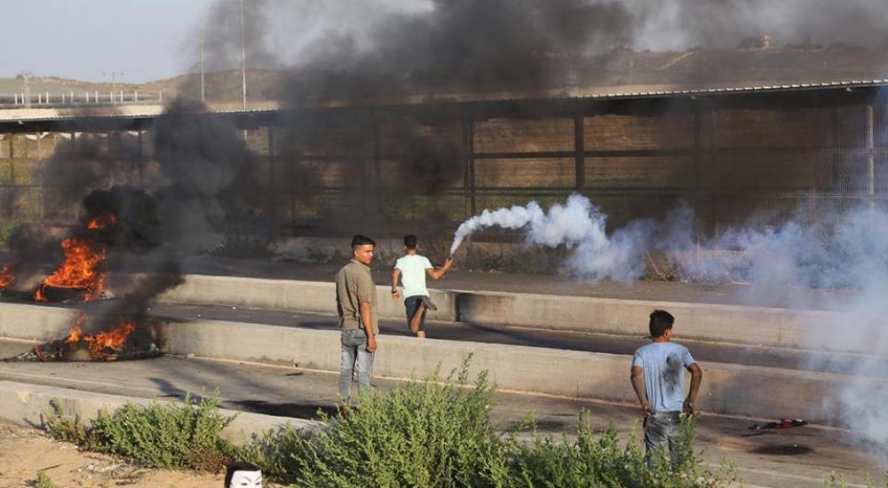 42652508_10215597346240348_9062962421462728704_n