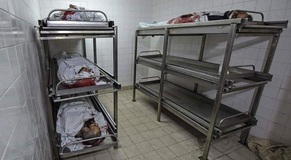 WhatsApp Image 2018-11-12 at 12.17.13 AM