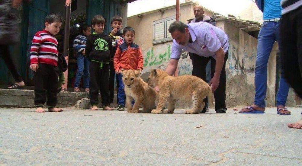 11659258_10153033175167984_1236124272084272852_n