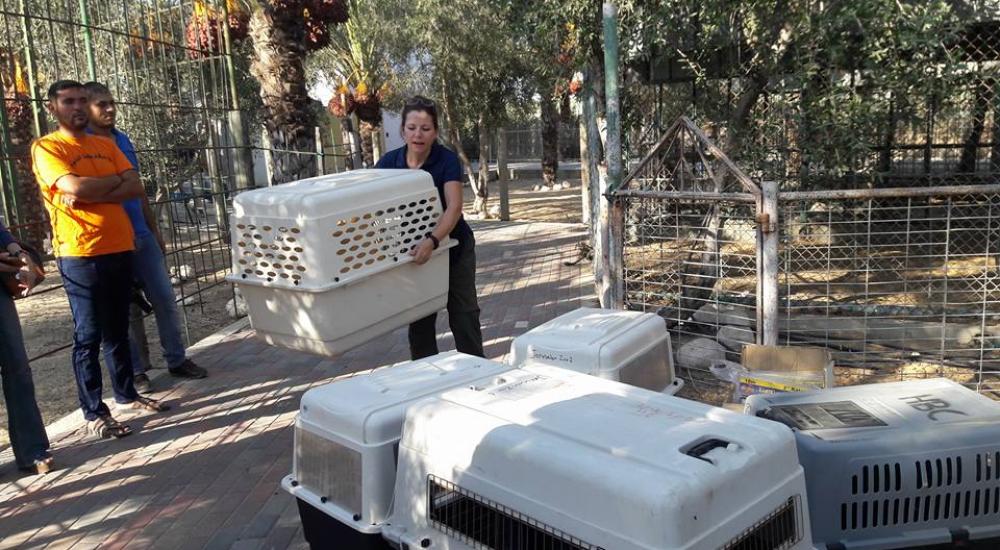 14117694_1154261737966190_1252150909396511813_n