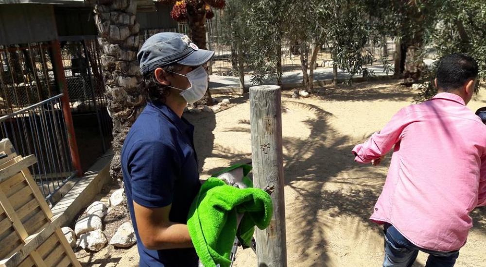 14067459_1154685737923790_2559592564250380874_n