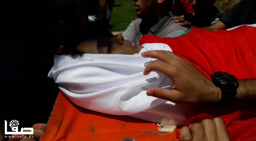 WhatsApp Image 2018-06-09 at 12.47.50 PM