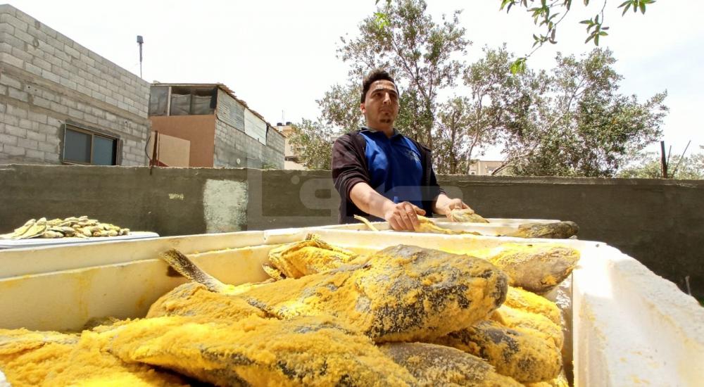 WhatsApp Image 2020-05-13 at 4.28.54 PM