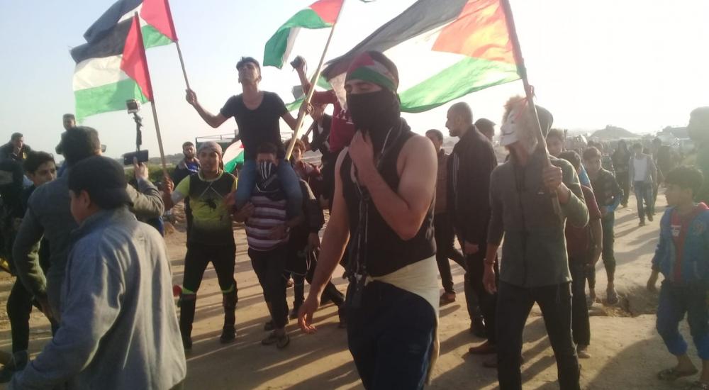 WhatsApp Image 2018-12-03 at 3.27.34 PM