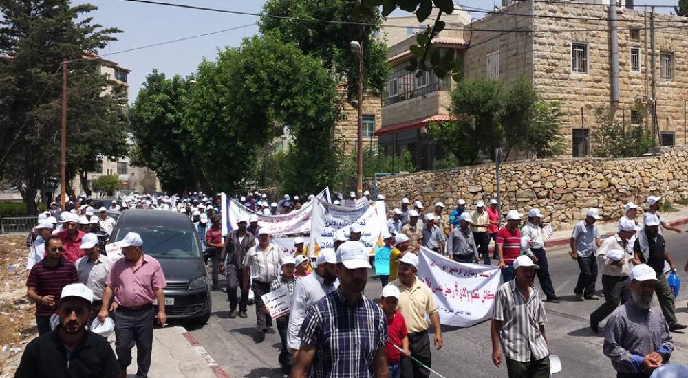 11813471_845987372159483_1977691859744957984_n