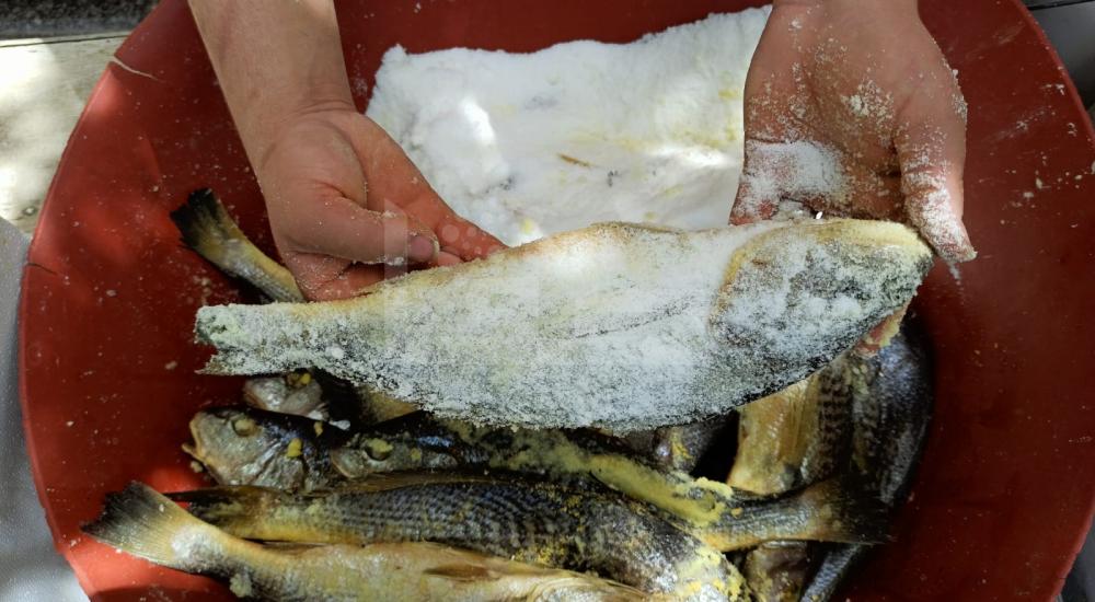 WhatsApp Image 2020-05-13 at 4.29.09 PM