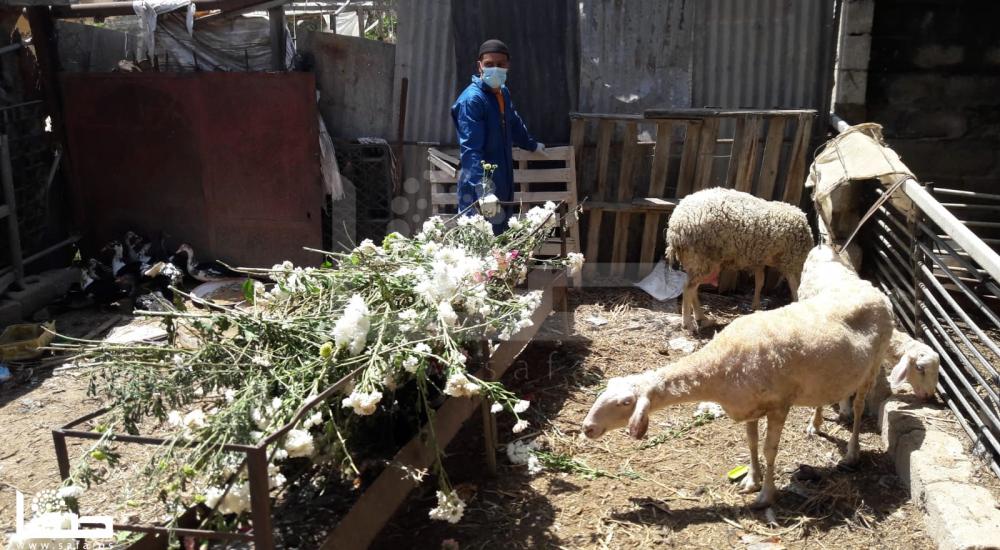 WhatsApp Image 2020-04-16 at 4.17.43 PM