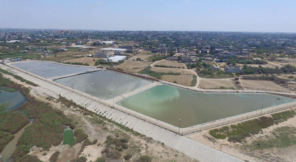 received_244862289246461