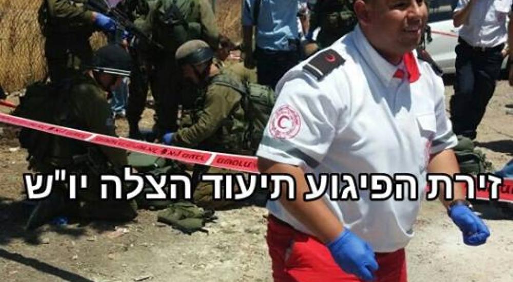 13714399_1562398920735433_1290926562_n