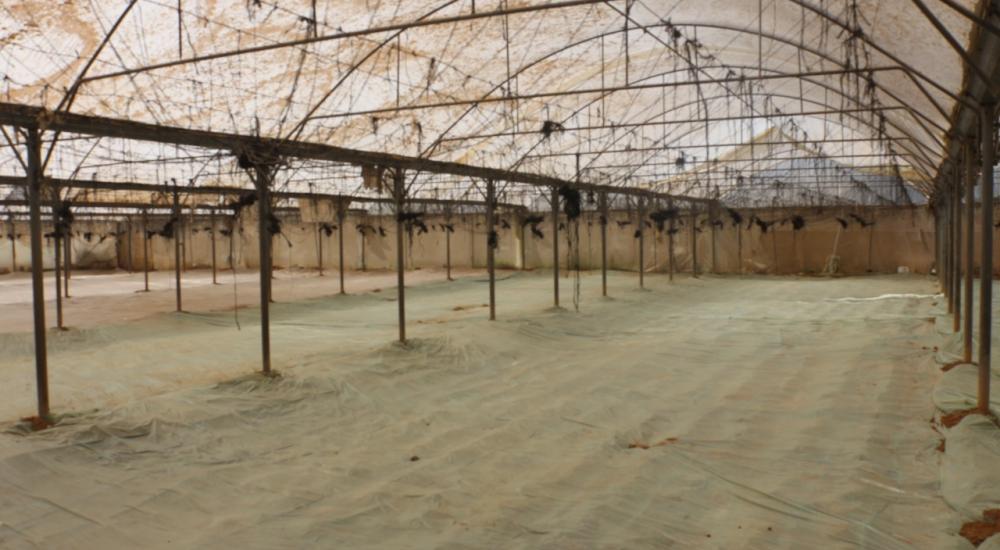 10ae7005-8009-46a4-95a7-bf906f53d783