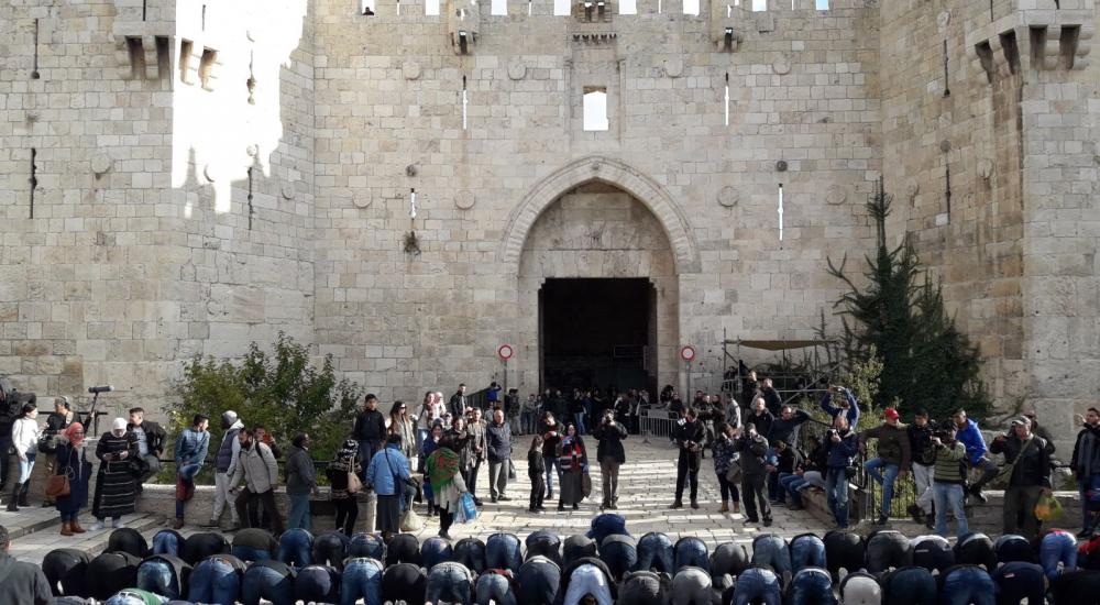 WhatsApp Image 2017-12-07 at 2.30.11 PM